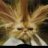 stfluffybrain